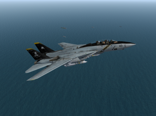 669VFS – Somalia Beta 1.2 – F-14B SWEEP