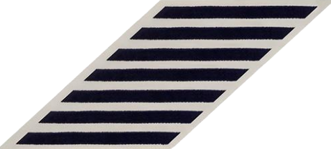 175 ops service stripe